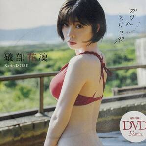 週刊プレイボーイ 付録DVD 磯部かりん