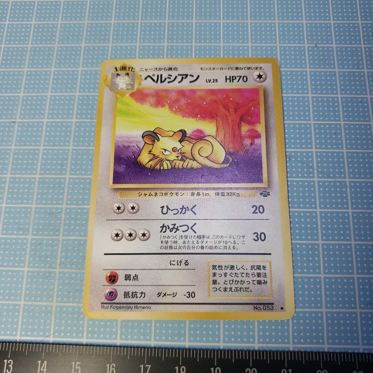 2025年最新】Yahoo!オークション -ペルシアンの中古品・新品・未