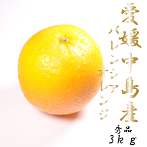 国産オレンジ 完熟 バレンシアオレンジ 愛媛中島産 秀品 3kg 1047