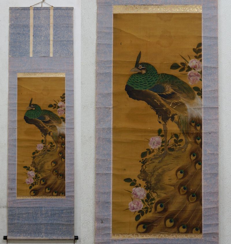 売り切り!掛け軸 掛軸 孔雀 Yahoo!オークション -「掛け軸 孔雀」(絵画) (美術品)の落札相場