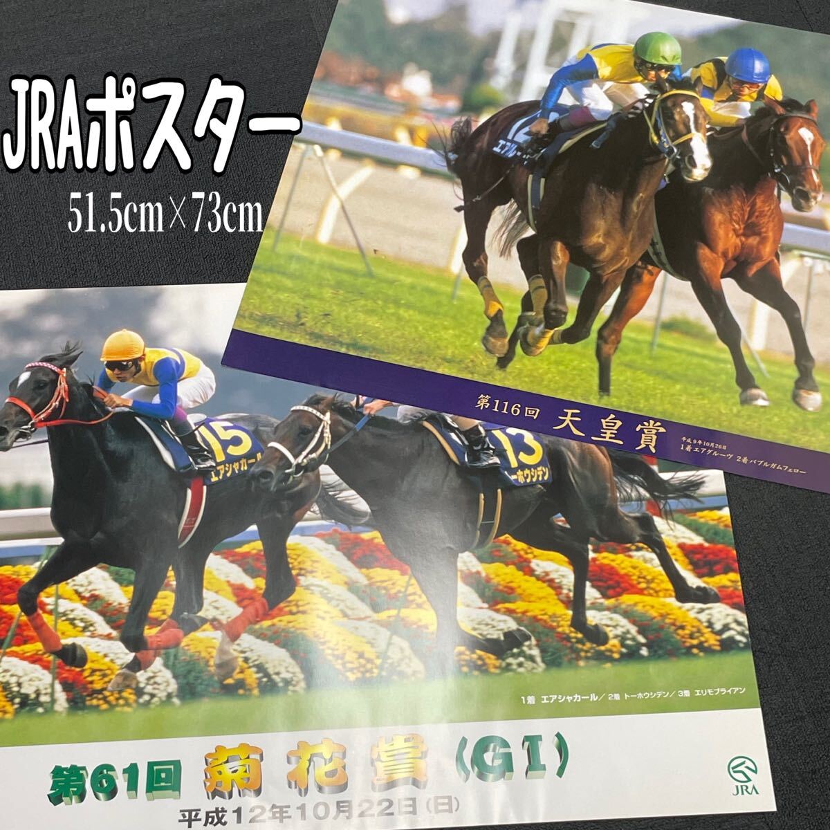 競馬 エアグルーヴ ポスター Yahoo!オークション -「エアグルーヴ」(その他) (競馬)の落札