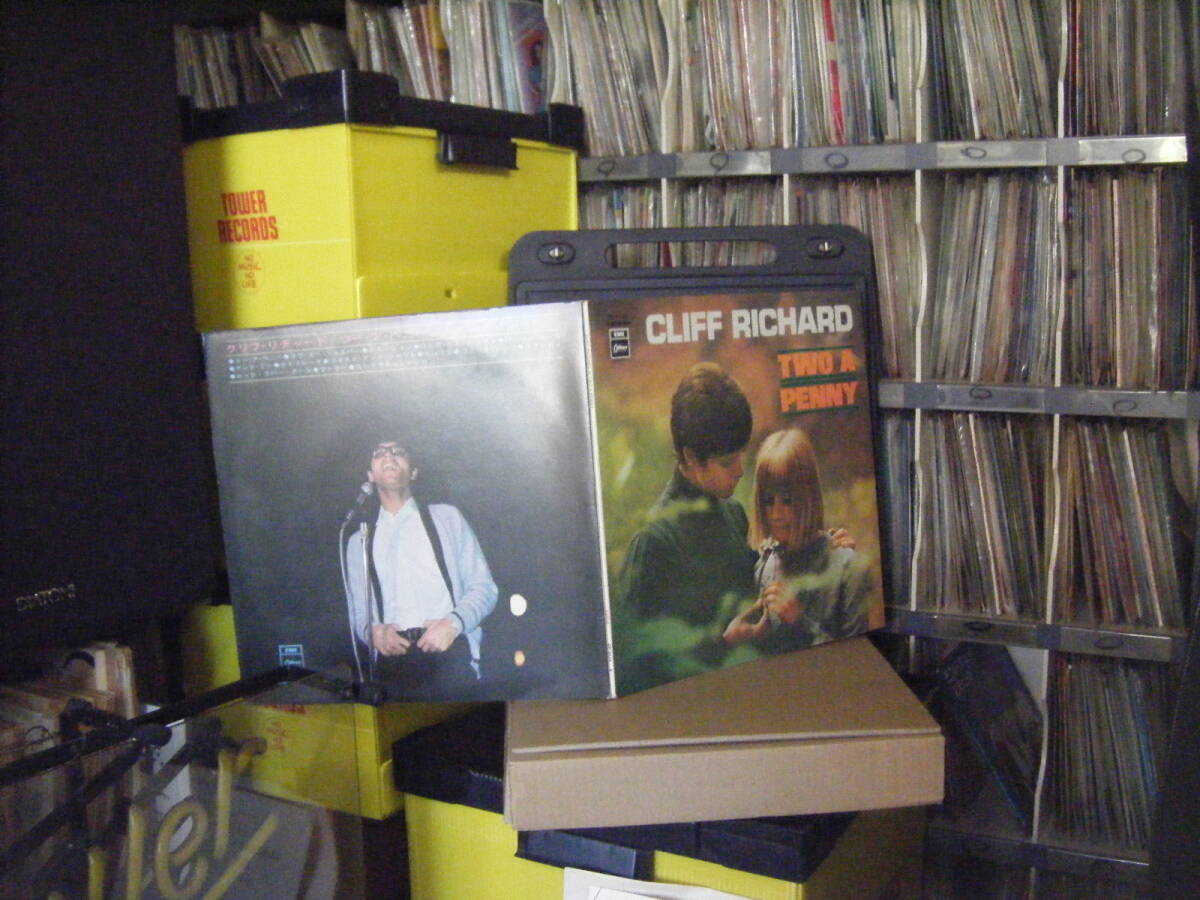 【DVDセット】クリフ・リチャード（CLIFF RICHARD）5枚（3枚未開封 クリフ・リチャード いつも青空 OR-1205 | レコード買取