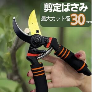 剪定ばさみ 剪定鋏 園芸 ガーデニング 剪定 ハサミ 枝切り 生花 盆栽 鍛造刃 剪定バサミ 剪定はさみ 家庭菜園 庭 植木 造園