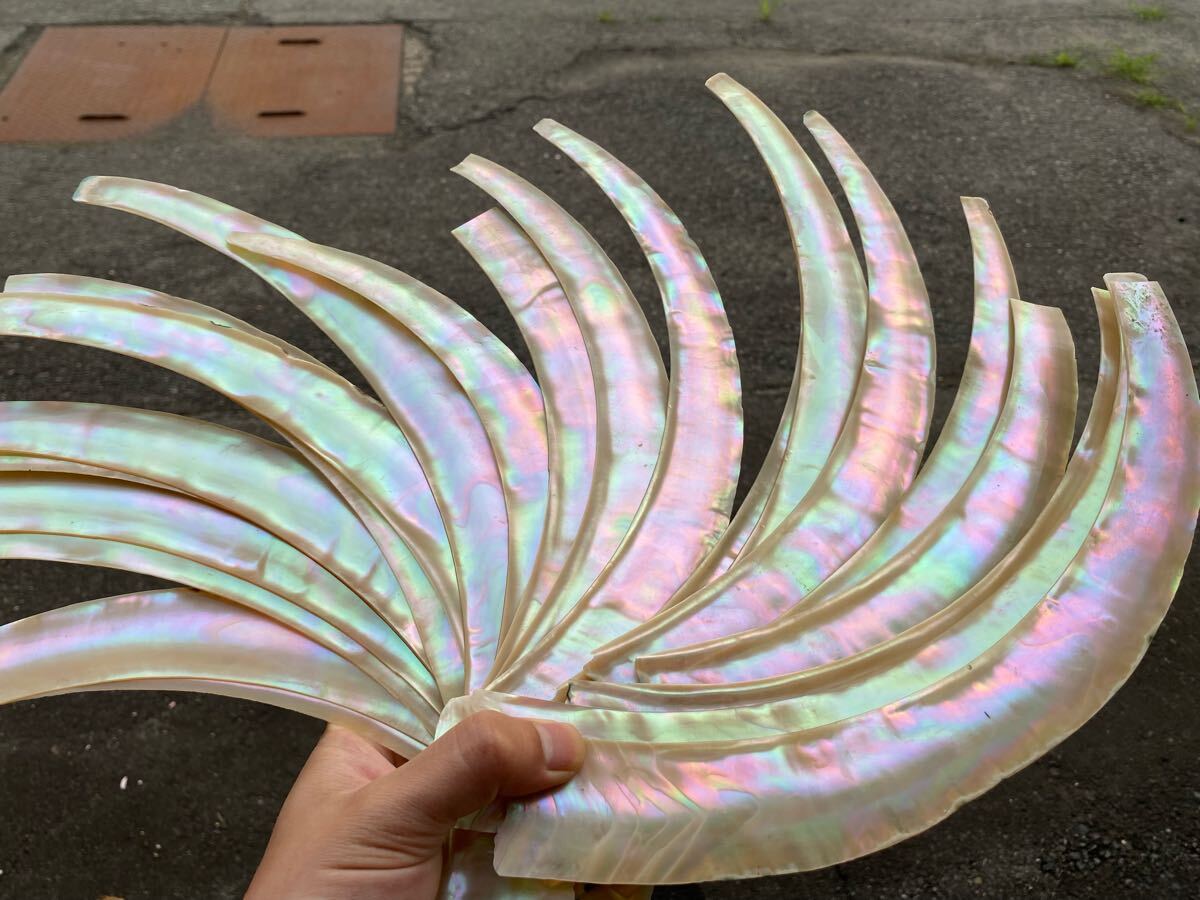 正光作　夜光貝？アンティーク工芸品 正光作夜光貝？アンティーク工芸品