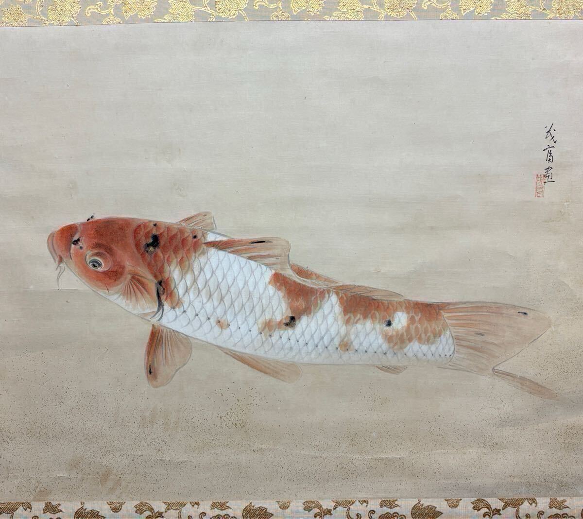 【鯉の掛け軸】 藤原茂富作 「飛躍の鯉」 日本画 鯉の掛け軸】 藤原茂富作 「飛躍の鯉」 日本画 2025年最新