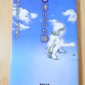 ◎ 【送料無料】 新・凍りついた瞳 子ども虐待ドキュメンタリー ささやななえ 椎名篤子 集英社文庫 中古 ◎