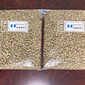 コーヒー生豆 グアテマラ有機栽培 800g