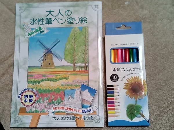 ★最後の1セット♪ 大人のぬりえ【2点セット 大人の水性筆ペン塗り絵 & 色鉛筆10色】風景 絶景 城 山 ぬり絵 初心者に 認知症予防 脳トレ