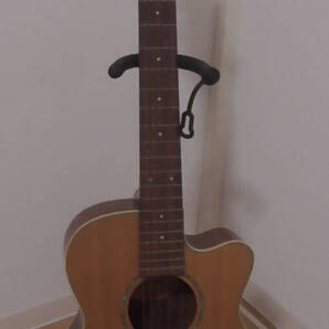 〇CRAFTER/クラフター/アコースティックギター/TVR23/N〇