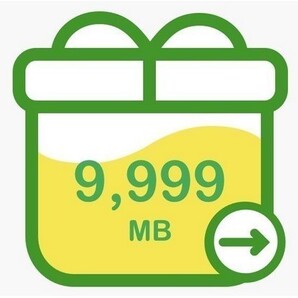 【匿名取引】mineo マイネオの パケットギフト 約10GB(9999MB)