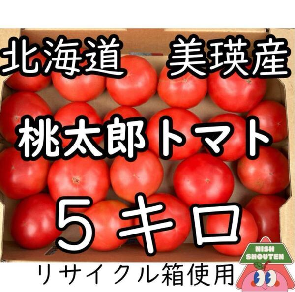 北海道美瑛産 甘くてジューシー!訳あり桃太郎トマト 5kg