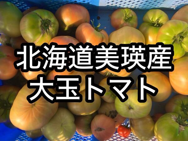 北海道美瑛産 甘くてジューシー!訳あり桃太郎トマト 4kg