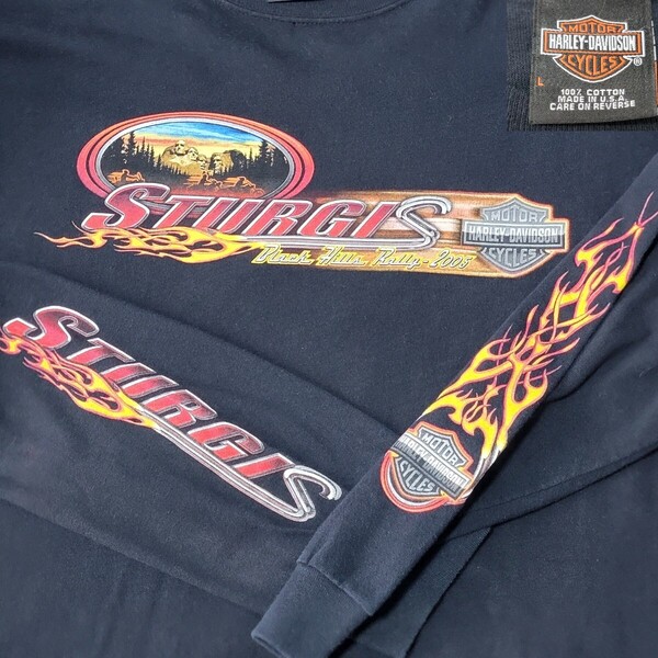 【05S】USA製 公式 2005年 フレイムパターン 山田蓮 ハーレーダビッドソン Harley-Davidson ロンT 長袖Tシャツ US M 日本L~XL BLACK HILLS