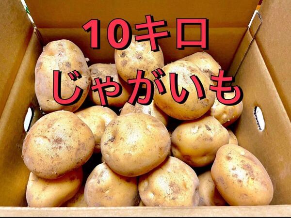 じゃがいも 10キロ 10kg 長崎県島原半島産 西豊 ニシユタカ 産地直送