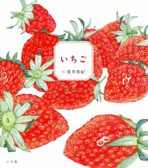 いちごページ いちご。ページ 苺ページ いちごページ 椿 Buy ZX 8000