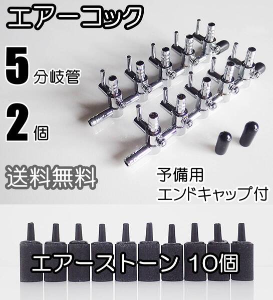 【送料込】エアーコック 5分岐管 2個 + エアーストーン(円柱黒)10個 シュリンプ・メダカ飼育時のエアー分岐・供給に 一方コック5連