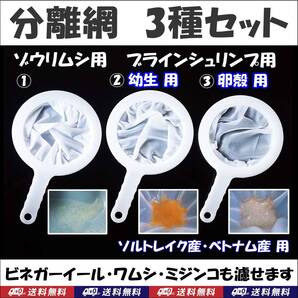 【送料込】分離網 3種セット ゾウリムシ・ブラインシュリンプの分離・ミジンコ用に 網交換可 濾し網 金魚・メダカ飼育用品 水槽用品