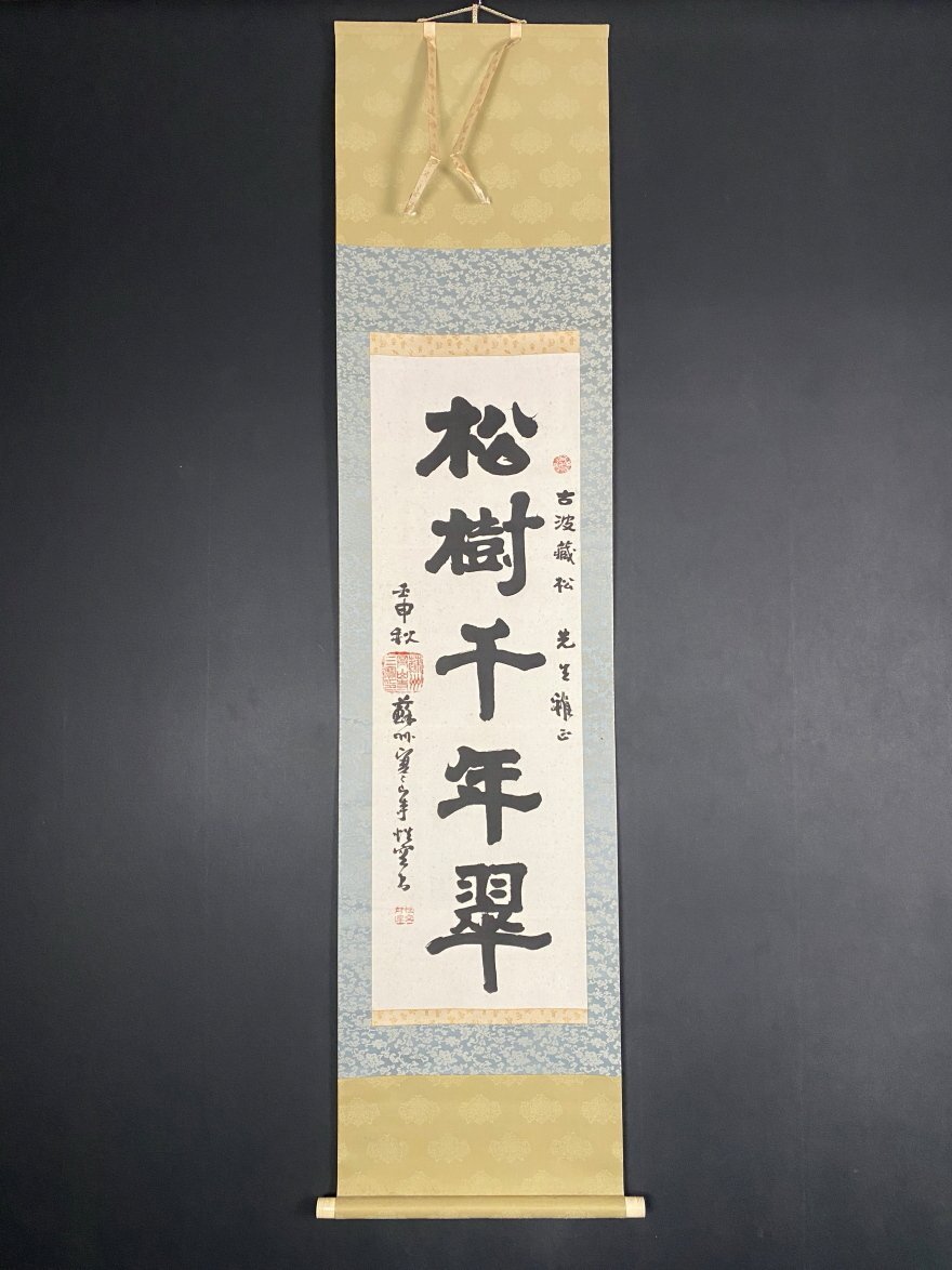 F56 掛軸 大徳寺 藤田寛道 『松樹千年翠』 共箱 『真作』 肉筆 一行書 2025年最新】Yahoo!オークション -掛け軸 松寿千年翠の中古品