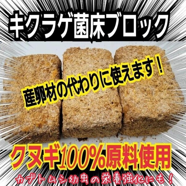 カブトムシ幼虫の栄養強化に抜群!マットに埋めるだけでモリモリ食べる!キクラゲ菌床ブロック【3個】クヌギ100%原料 クワガタの産卵にも