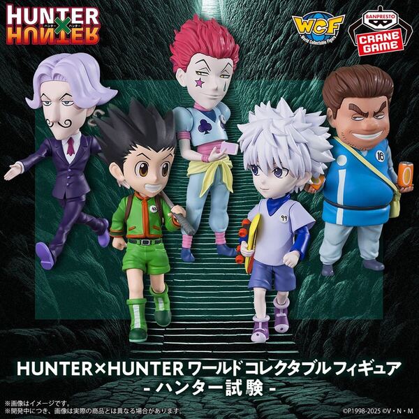 【新品・未開封】HUNTER×HUNTER ワールドコレクタブルフィギュア-ハンター試験-