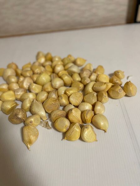国産有機無農薬栽培大粒にんにくバラ2Kg