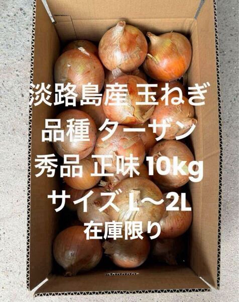 淡路島産 玉ねぎ L~2L 秀品 正味 10kg 品種 ターザン 淡路 淡路島 南あわじ市 最終出品