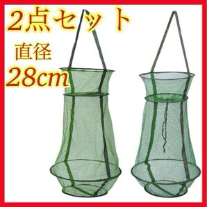 活かしスカリ 直径28cm 2個セット 釣り具 折り畳み コンパクト ビク 餌