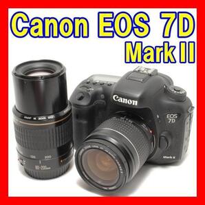 美品 付属品多数 ダブルレンズ キャノン Canon EOS 7D Mark Ⅱ 望遠レンズ