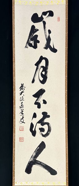 ココア 大徳寺足立泰道直筆 楓葉経霜紅 共箱 ココア 大徳寺足立泰道直筆 楓葉経霜紅 共箱 2025年最新】大徳