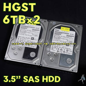 【HG6Tsas-c3/c4】HGST 3.5インチHDD(SAS) 6TB HUS726060AL5210 SAS接続【2台セット/動作中古品/送料込み】