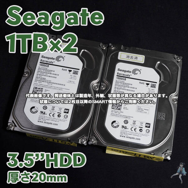 【SG1T-A9/A10(m)】Seagate 3.5インチHDD 1TB ST1000DM003 使用時間僅か【2台セット/動作中古品/送料込み】