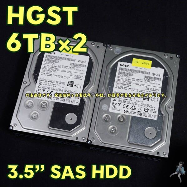 【HG6Tsas-c13/c14】HGST 3.5インチHDD(SAS) 6TB HUS726060AL5210 SAS接続 通電のみ確認【2台セット/中古品/送料込み】
