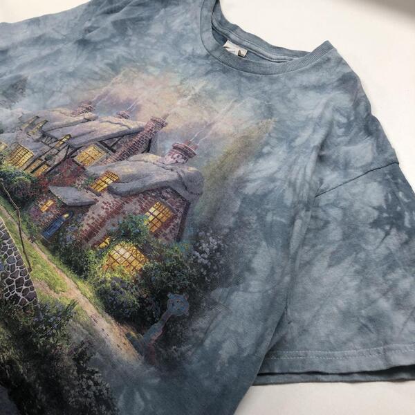 トーマス・キンケード 風景画 半袖Tシャツ タイダイ柄 メンズL