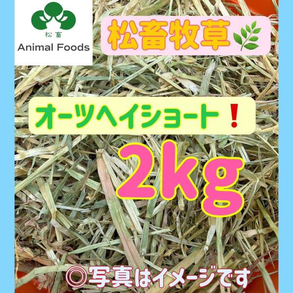松畜牧草 スーパープレミアムオーツヘイショート 2kg