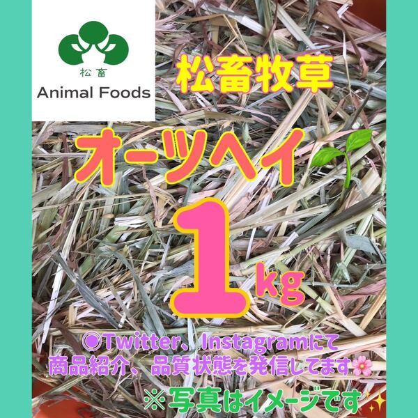 松畜牧草 スーパープレミアムオーツヘイ 1kg