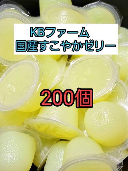 【送料無料】 国産 すこやかゼリー16g 200個 KBファーム 昆虫ゼリー カブトムシ クワガタ ハムスター等 小動物