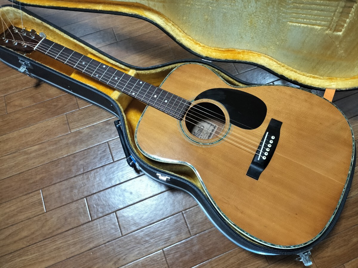 TOKAI Gamma W-180 アコースティックギター Yahoo!オークション -「w-180」(その他) (本体)の落札相場・落札価格