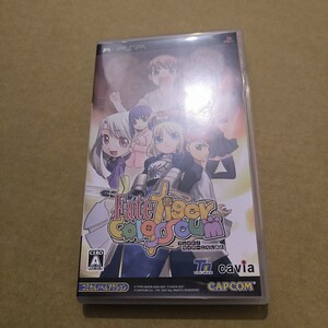 フェイト/タイガーころしあむ(通常版) - PSP