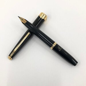 PLATINUM プラチナ 万年筆 ペン先18K 細字【DGAM9005】