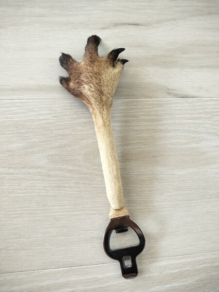 オーストラリア ケアンズ カンガルーの手 栓抜き 缶切り 剥製