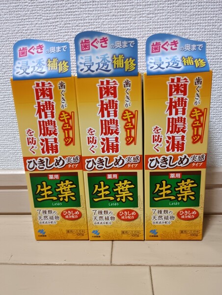 ☆新品☆歯槽膿漏を防ぐ☆薬用ハミガキ☆生葉☆ひきしめ実感タイプ☆100g 3本セット☆歯磨き粉☆小林製薬☆