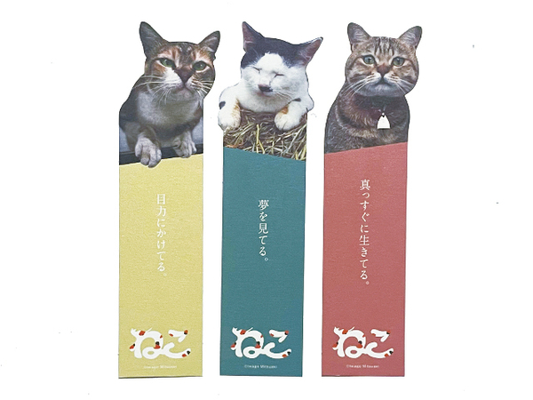 【送料込み・即決】岩合光昭 ねこ しおり 3種セット|写真展での入場プレゼントだったような…?|猫 ネコ 栞 シオリ