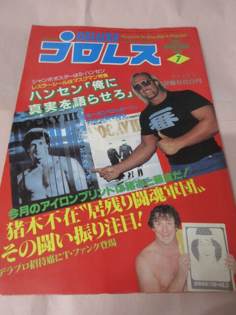 デラックスプロレス　１６冊　付録ポスター（ジャンボポスター14枚）付き 2025年最新】プロレス ポスター - 多彩なデザインと希少な