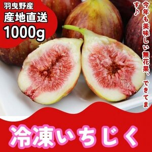 冷凍いちじく 真空パック加工 1000g 加工用 ジャム イチジク 朝採れ完熟いちじく 数量限定 とろ甘完熟 熟練農家の逸品 羽曳野産 i7