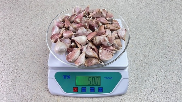他にない!希少品!◆令和7年・香川県産にんにく 500g◆フルーツニンニク農園オリジナル○