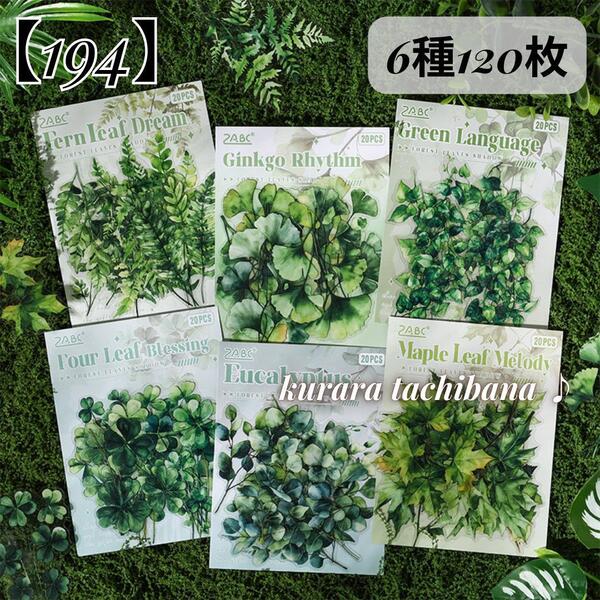 【194】シール ステッカー PET コラージュ素材 葉っぱ 植物 装飾 ジャンクジャーナル スクラップブッキング デコ 緑 アルバム 6種120枚