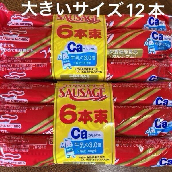 フィッシュソーセージ おさかなソーセージ 大きいサイズ12本 まとめ売り おつまみ 食品 ゴールドクーポン 沖縄・離島送料無料 即決