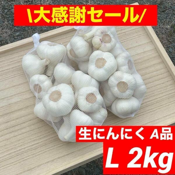 【大感謝セール】新物 青森県産 生にんにく A品 L 2kg福地ホワイト六片