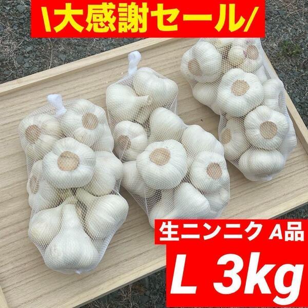 【大感謝セール】新物 青森県産 生にんにく A品 L 3kg福地ホワイト六片