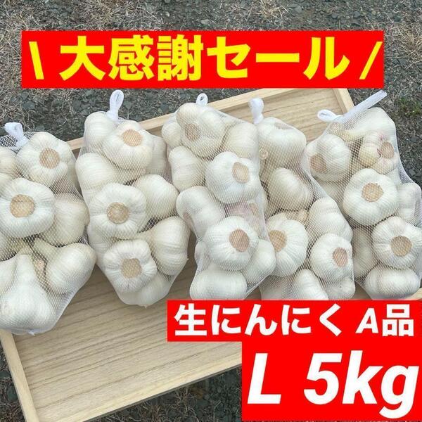 【大感謝セール】新物 青森県産 生にんにく A品 L 5kg福地ホワイト六片